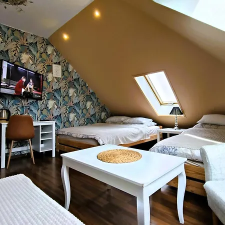 Route 62 Apartament Studio *