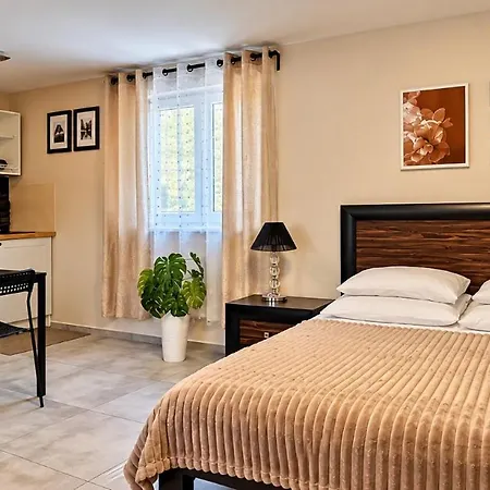 Route 62 Apartament Studio *